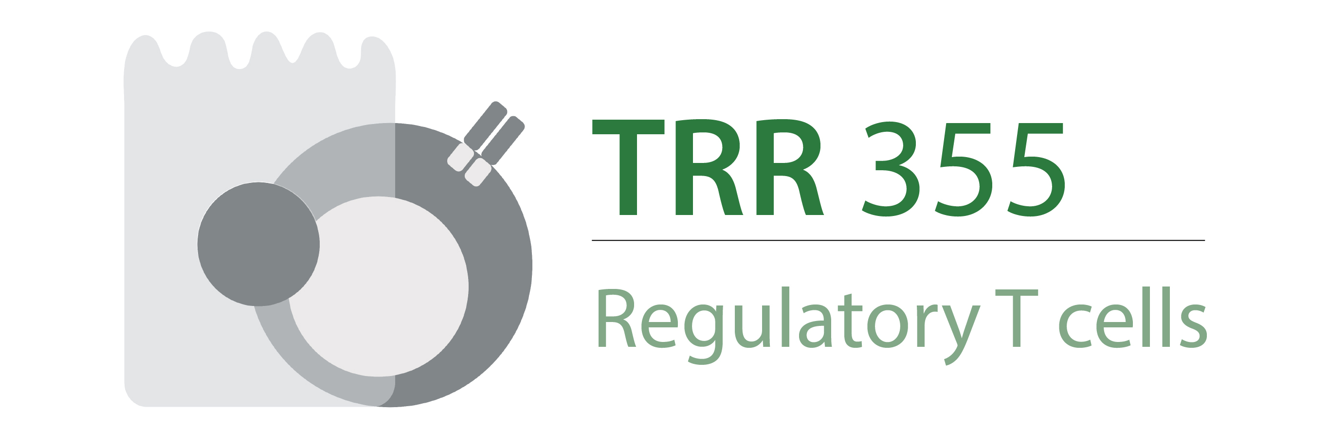 Icon Heterogenität und funktionelle Spezialisierung regulatorischer T-Zellen in unterschiedlichen Mikromilieus (TRR 355)