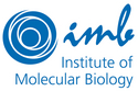 IMB Logo und "Institute of Molecular Biology" ausgeschrieben