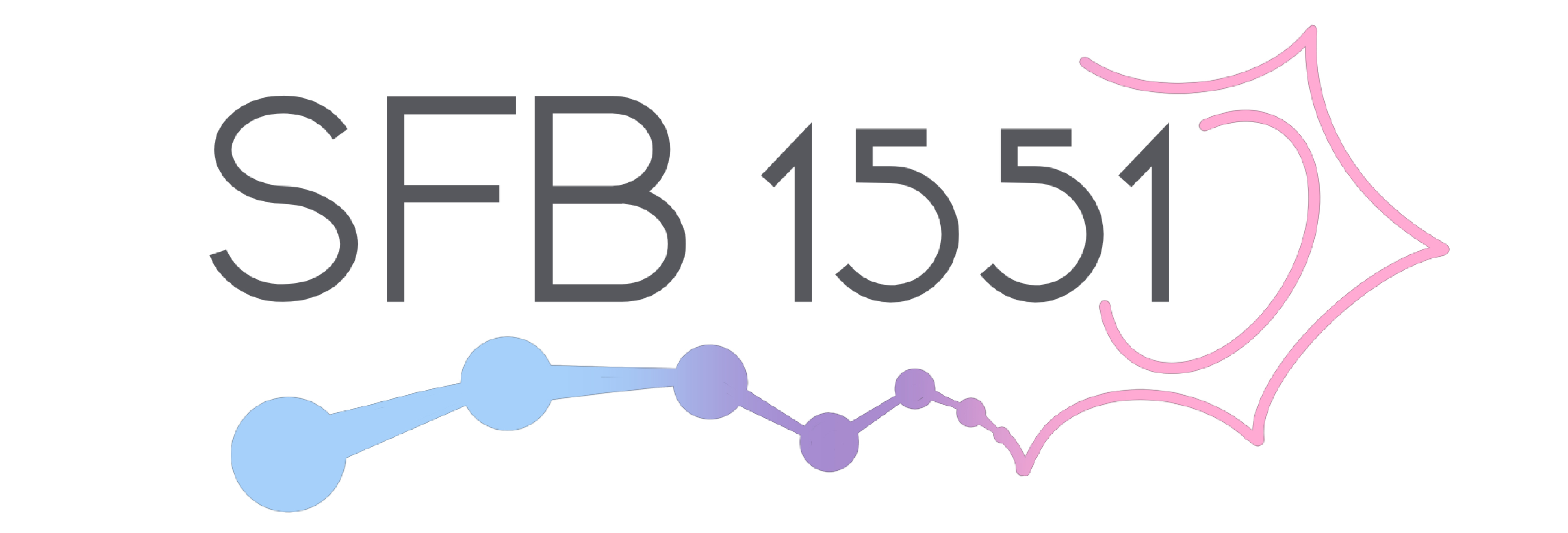 Icon Polymer Concepts in Cellular Function (CRC 1551)