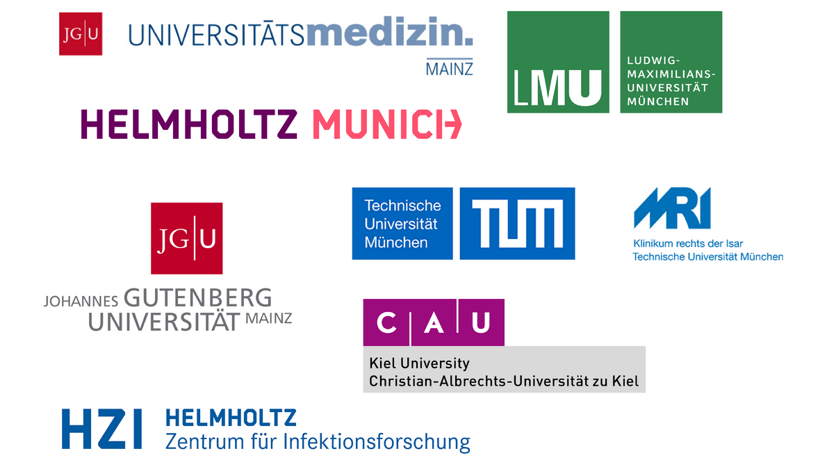 Logos Partnerinstitutionen TRR 355 Logos Partnerinstitutionen TRR 355, UMC, LMU, Helmholtz Munich, TUM, JGU, MRI, Helmholtz Zentrum für Infektionsforschung