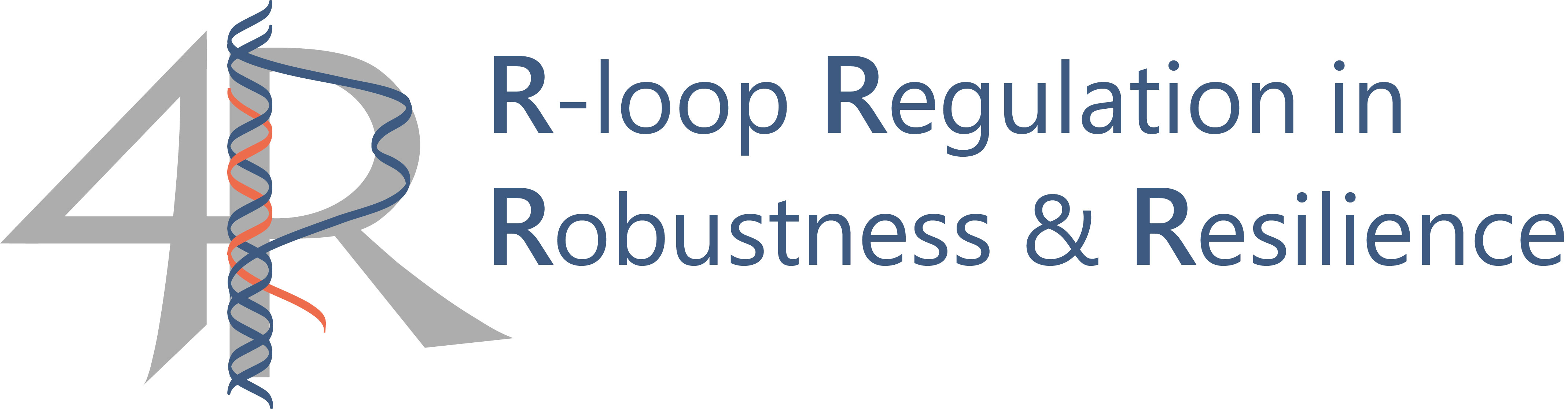 Icon R-loop Regulation in Robustness & Resilience (RTG 2859)